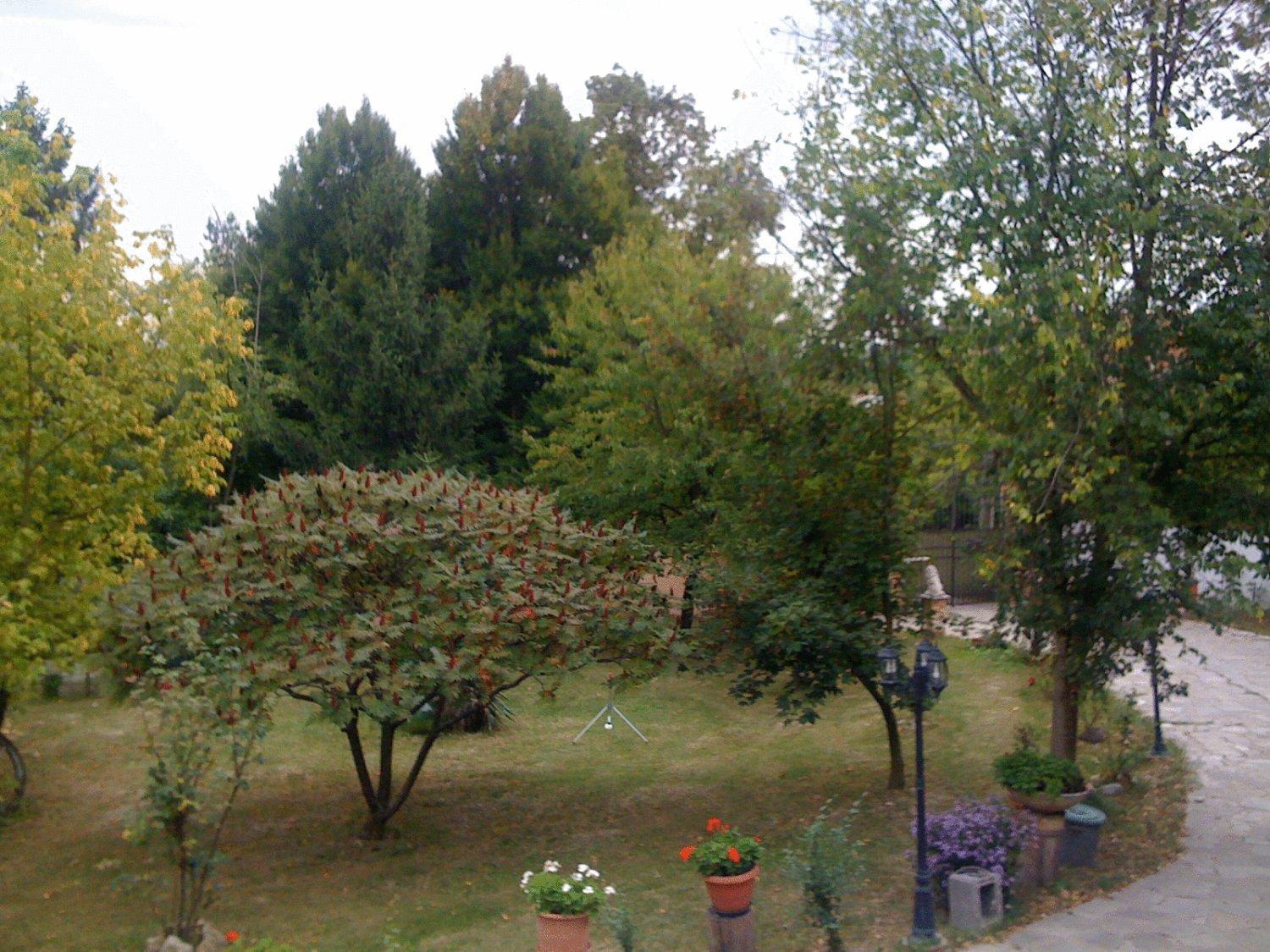 B&B La Corte Dei Samidagi Alessandria Buitenkant foto
